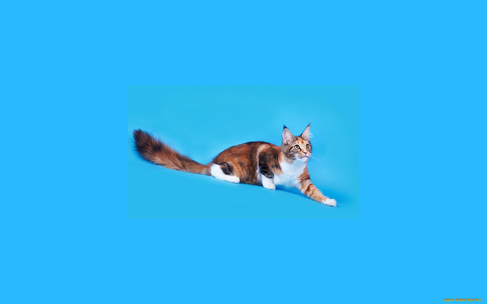 , , -